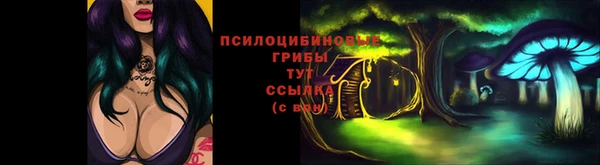 стаф Армянск