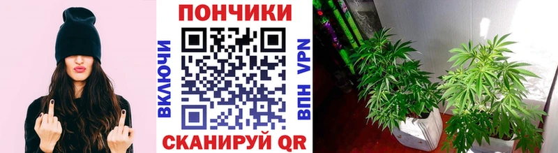 Шишки марихуана LSD WEED  продажа наркотиков  Сухой Лог 